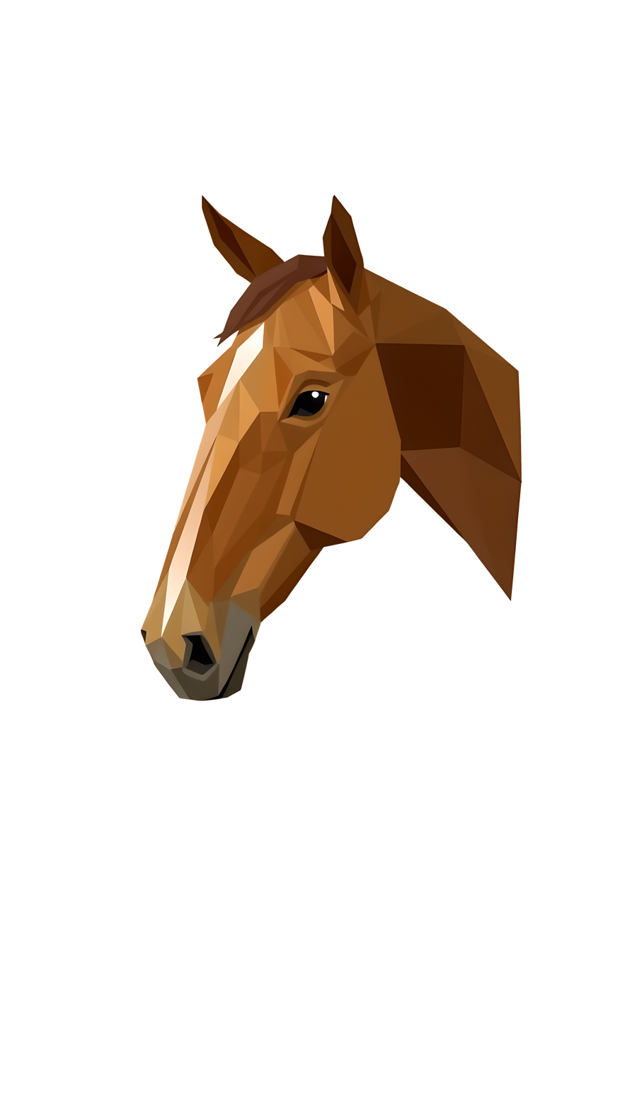 Geometric Horse